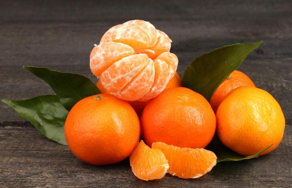 Clementine Mandarin Tree - 2-5 Inch Tall Live Plant - Potted Orange Fruit Seedling - Citrus x Clementina