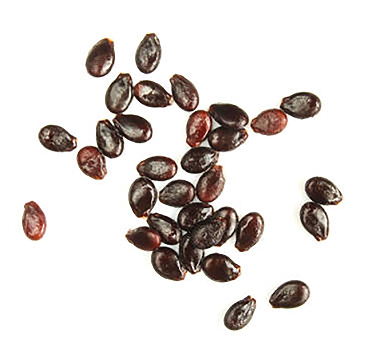 Congo Watermelon Seeds - Extra Sweet Heirloom Variety