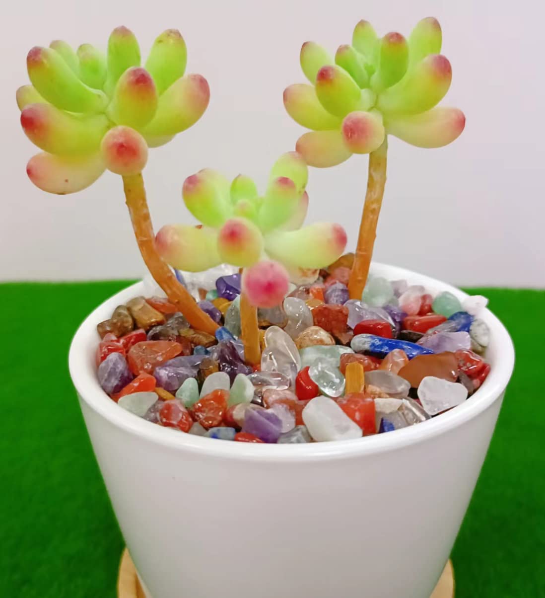 LAIDANLA Decorative Tumbled Gravel Chakra Colorful Crystals Chip Polished Bulk Natural Gem Aquarium Gravel Rocks Pebbles Fish Tank Gravel Vase Filler Succulents Terrarium Supplies 100g