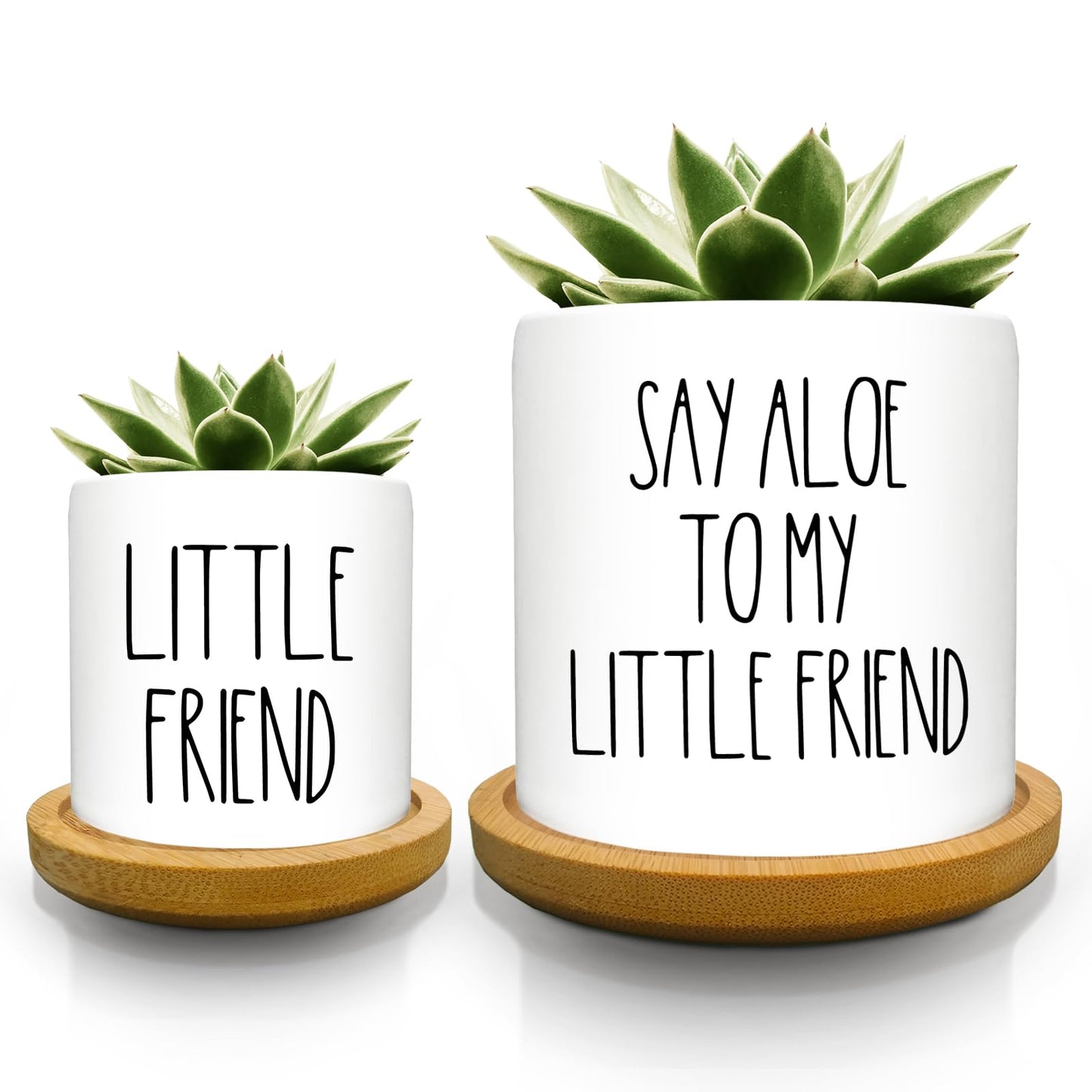 Lasimfa Funny Succulents Plant Pots, Set of 2, Small Ceramic Cactus Planter Pot for Indoor Outdoor, Cute Garden Succulent Pot with Bamboo Tray, Fun Pots for Plant Lover Friends Housewarming Gift