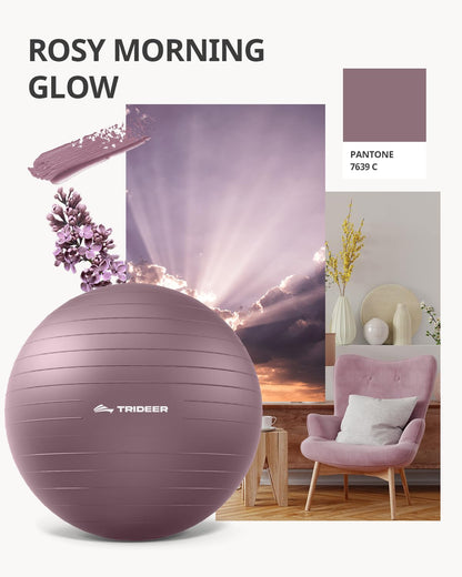Trideer Yoga Ball for Pregnancy Office Ball Chair– Exercise Ball for Birthing, Labor, Stretching & Core Workout – Anti-Burst, Slip-Resistant for Home Gym, Flexible Seating & Physical Therapy