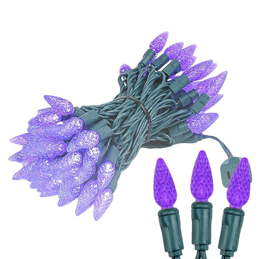 Novelty Lights 24FT 70 LED C6 Christmas String Lights, Outdoor Tree Commercial Grade Permanent Decorations (Purple)