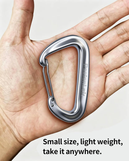 PasionLok Carabiner Clips Heavy Duty 12KN, 4 Pack Aluminum Carabiner Keychain, Small D Ring Hook for Hammock Camping Essentials, Backpack Key Ring Clip, Dog Leash, Multi Color
