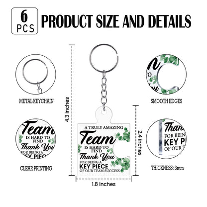 DRMNPKT Set of 6 Team Thank You Appreciation Gifts Bulk for Coworkers Employees Staff Teachers Colleagues Coach, Best Team Ever Gifts Inspirational Teamwork Acrylic Puzzle Piece Keychains, Multicolor