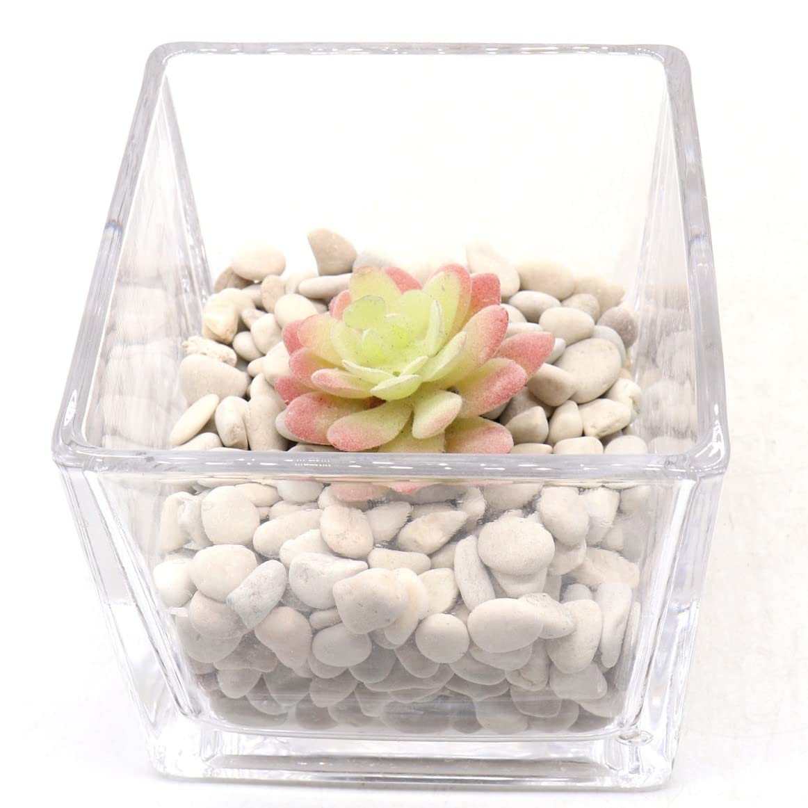 Premium Pebbles Rocks - Cream White Decorative Pebbles, 3/8 Inch - 10 lbs. Landscaping and Garden Stones, Suitable for Succulents and Pots