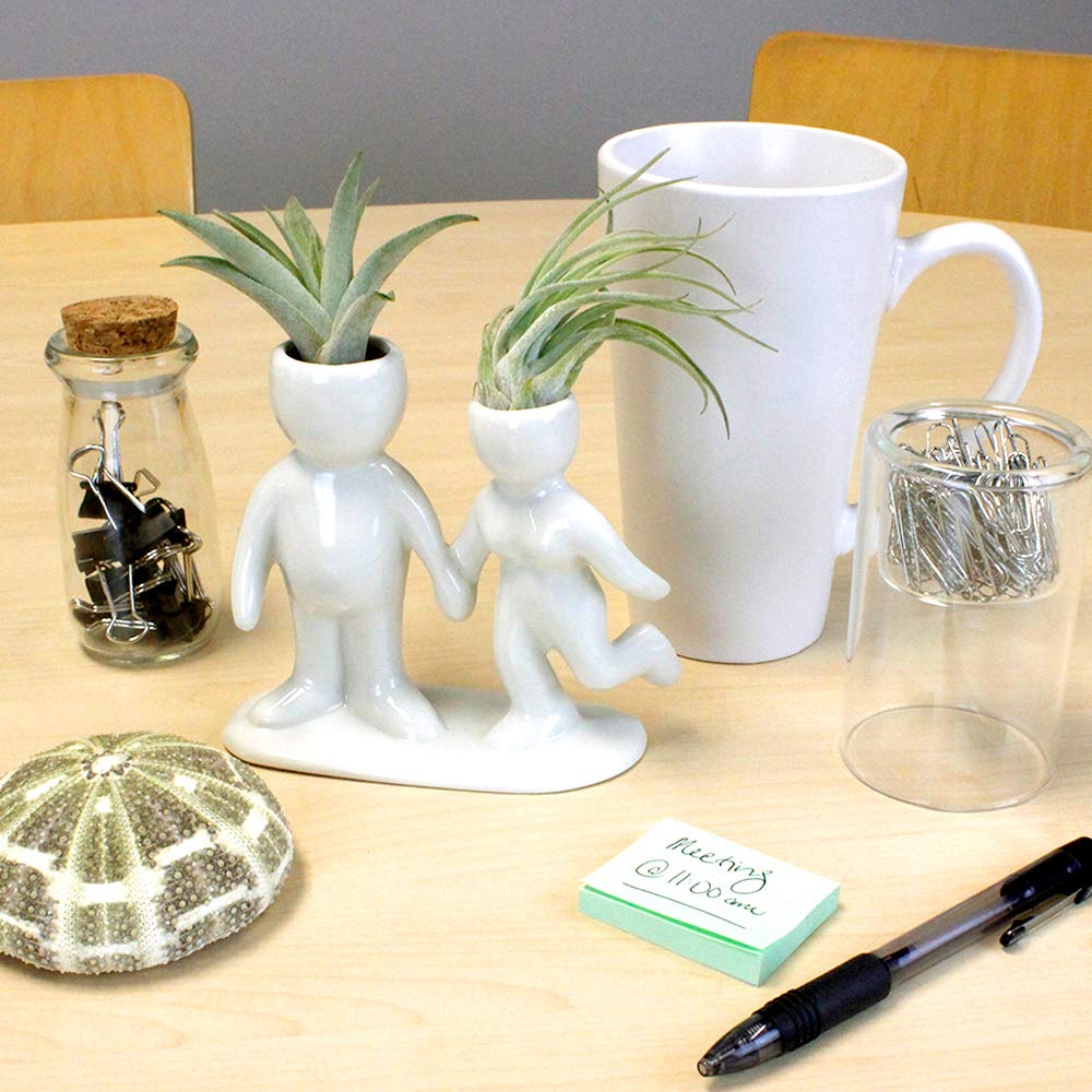 NW Wholesaler 5 Inch White Ceramic Couple Holding Hands People Shaped Planter with Two Live Tillandsia Air Plants - Potted Indoor Air Plants for Home and Office Decor