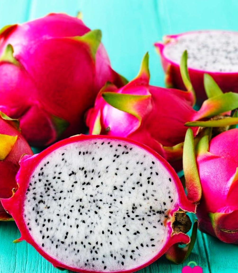 50 PCS Seeds Pitaya Bonsai Tree Plants Dragon Fruit Garden Red Meat Pitaya Seeds Heirloom