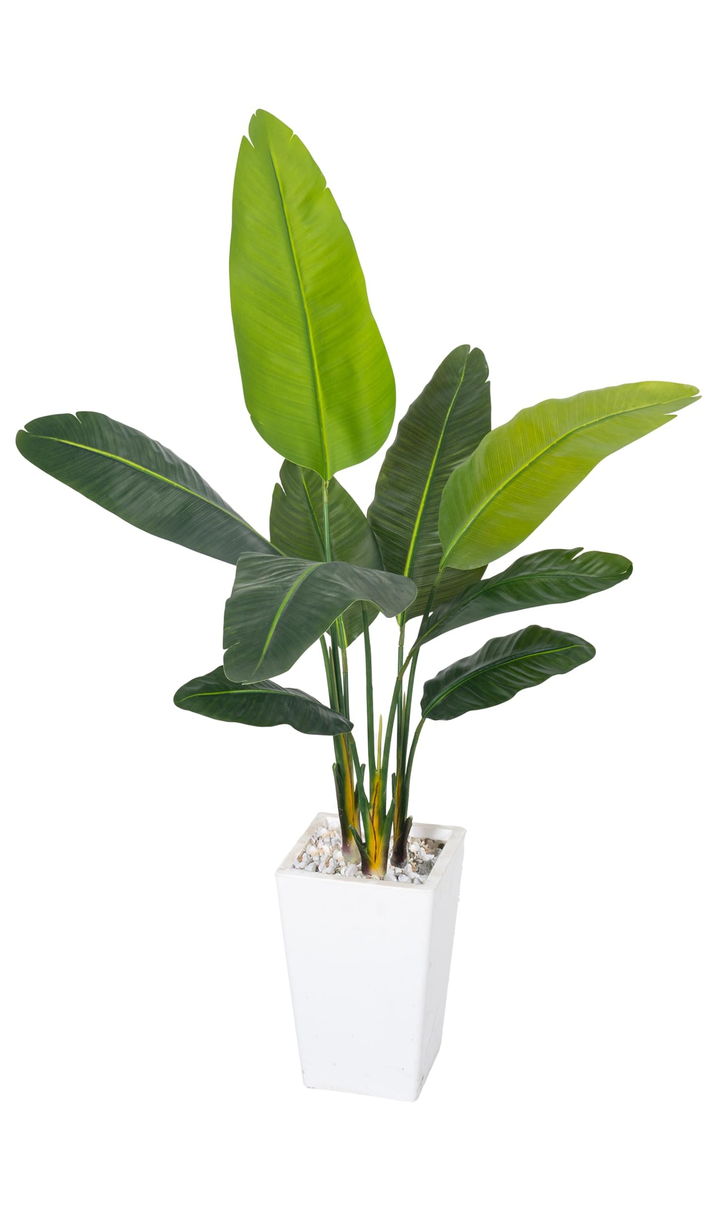 HAIHONG Bird of Paradise Artificial Plant 5FT, Faux Tropical Palm Tree with White Tall Planter, Large Fake Plants in Pot - Artificial Tree for Home Office Living Room Decor Indoor