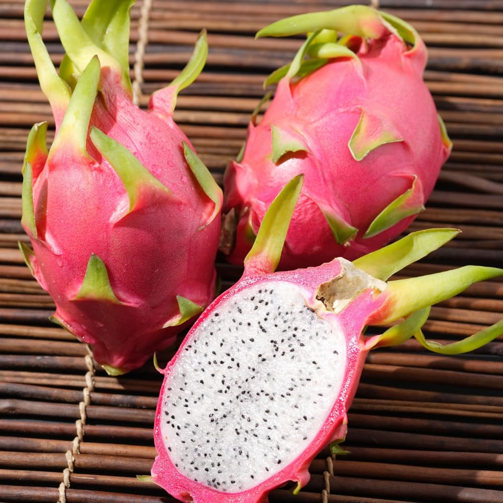 Dragon Fruit Plant Live in 3 Gallon Pot, Tropical Dragon Fruit Vine Plant, Sweet Fruits Plants for Outdoor Planting