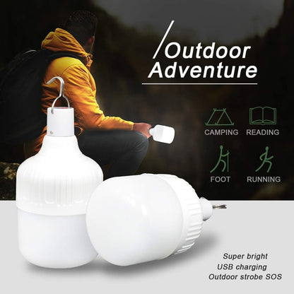 2Pcs Camping Lights,Emergency Lantern LED Work Light Bulb USB Rechargeable Lighting,30W 2000 Lumens,Portable Tent Light for Camping, Patio,Garden,BBQ,Hiking,Fishing. with Remote Control