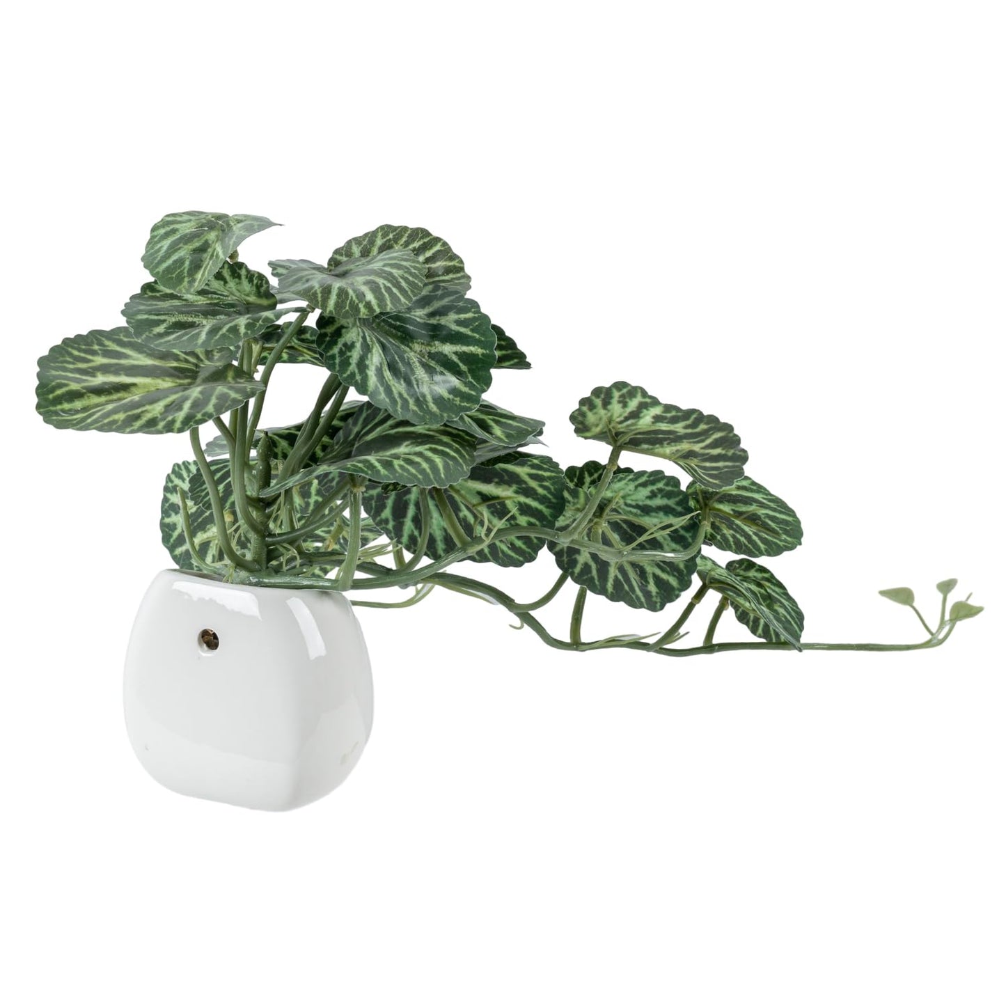 MyGift Single Wall Mounted Artificial Green Leafy Draping Plant Potted in White Ceramic Pot, Faux Begonia Imperialis X Pustulata Decorative Hanging Planter with Trailing Leaves