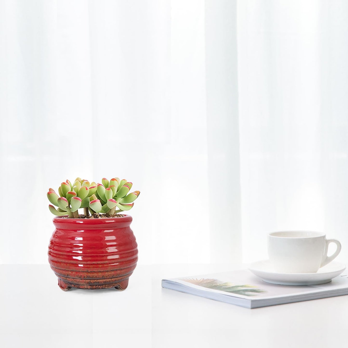 ARTKETTY Succulent Pots - Small Succulent Plant Pot with Drainage Set of 6, Ceramic Cactus Planter Pots for Indoor Unique Flower Planter Container for Home Office Decor