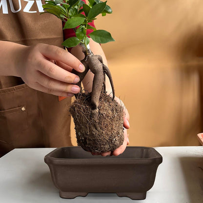 MUZHI 2PACK Unglazed 6” Ceramic Bonsai Pot with Humidity Trays, Breathable Handmade Rectangle Bonsai Starter Planter for Bonsai Tree, Juniper,Ficus, Money Tree