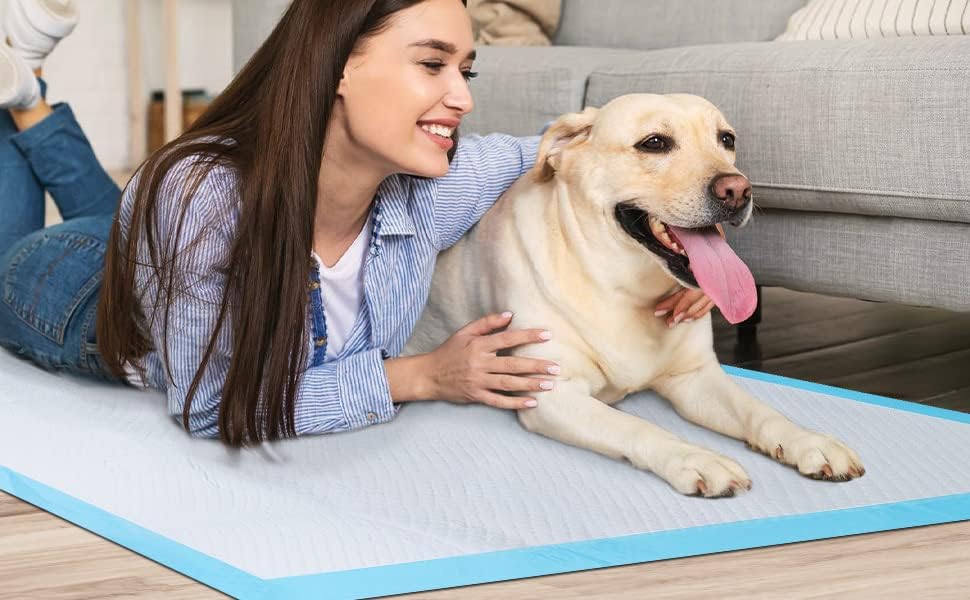 Bazaar Large Puppy Pads 100 Pack Disposable Puppy Training Pads 60x60cm | Highly Absorbent Leak-Proof Dog Training Pads | Premium Quality Quick-Dry Dog Pads (60x60cm - 100 Count)