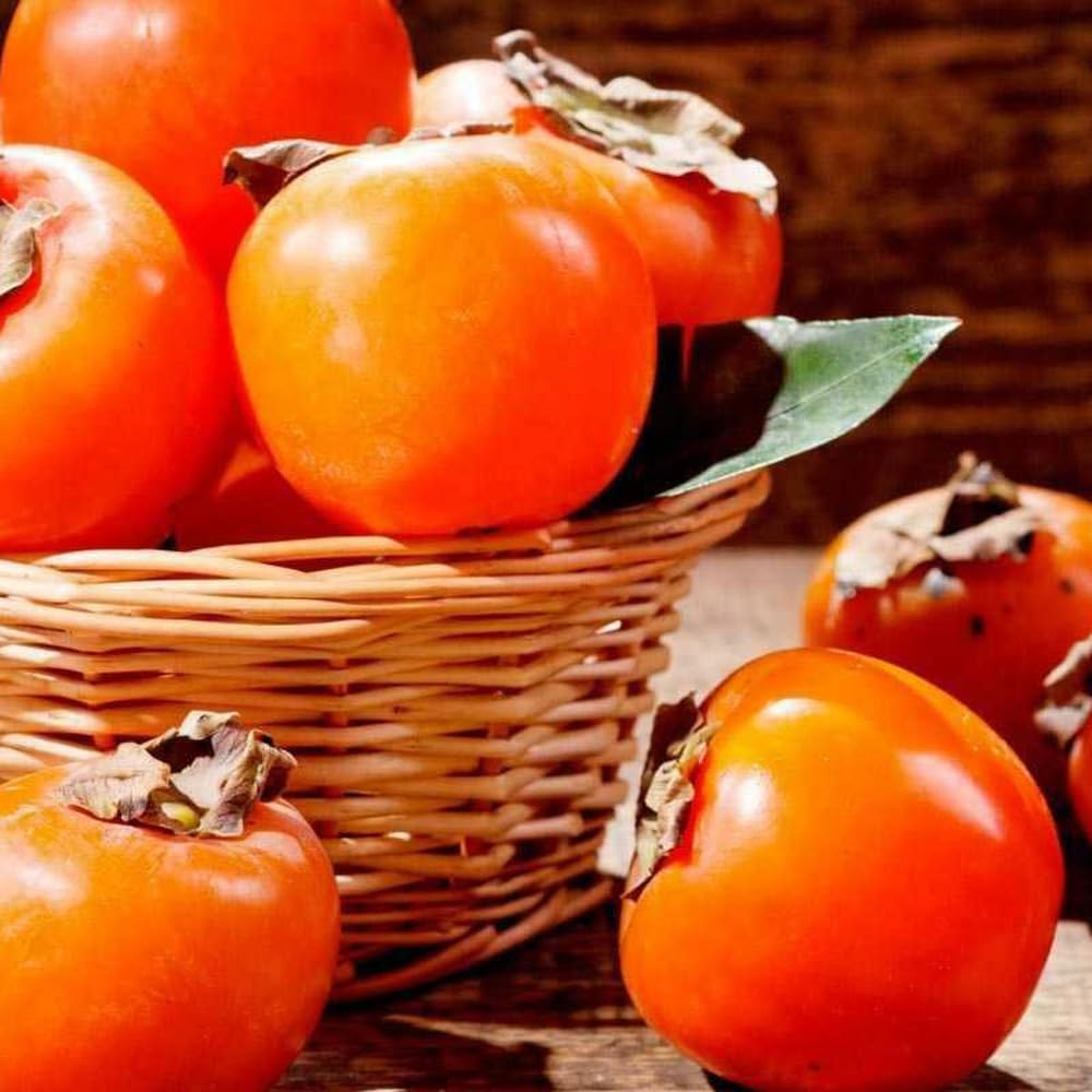 Mixrug 30+ Organic Fuyu Persimmon Seeds for Planting Outdoors,Diospyros Seeds Non-GMO Heirloom,Cold Hardy Fruit Tree Seed High Germination for Home Outdoor Garden