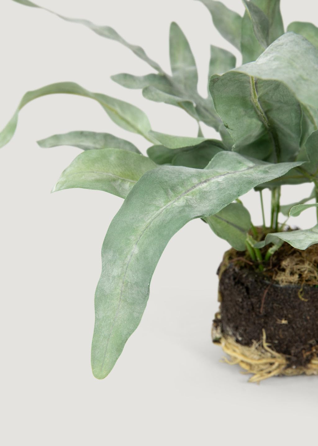 8.5-Inch Artificial Echeveria Fern Drop-in, Lifelike Faux Succulent for Small Planters