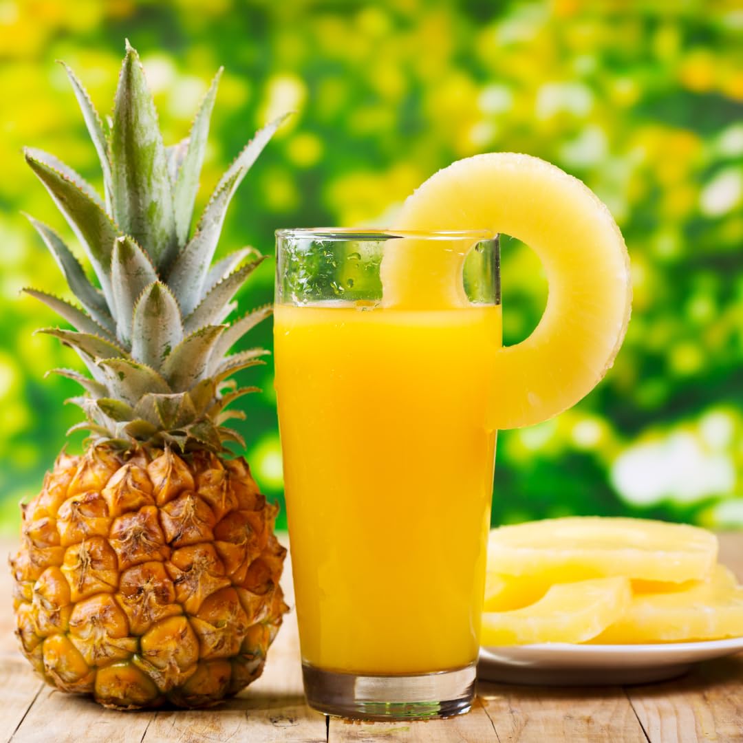 Set 2 Pineapple Plants Live, Sweet Pineapple Shrubs, Tropical Fruit, 4 to 8 Inch Tall for Planting Outdoor (Sugarloaf)
