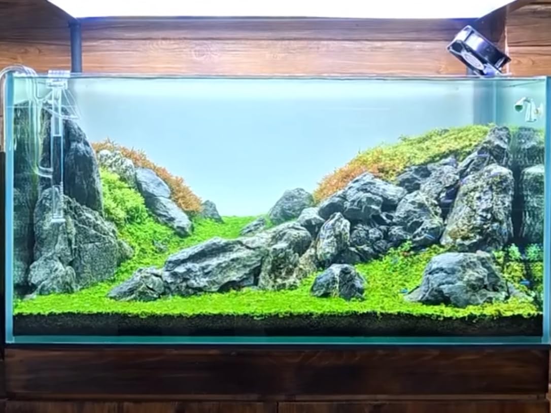 ChaoLeHo Aquarium Rocks Seiryu Stones Natural Hardscape Stone for Aquariums, Fish Tanks, Bonsai, Terrariums, Wargaming Dioramas, Indoor or Outdoor Gardens-5lb(2-6 Inch)