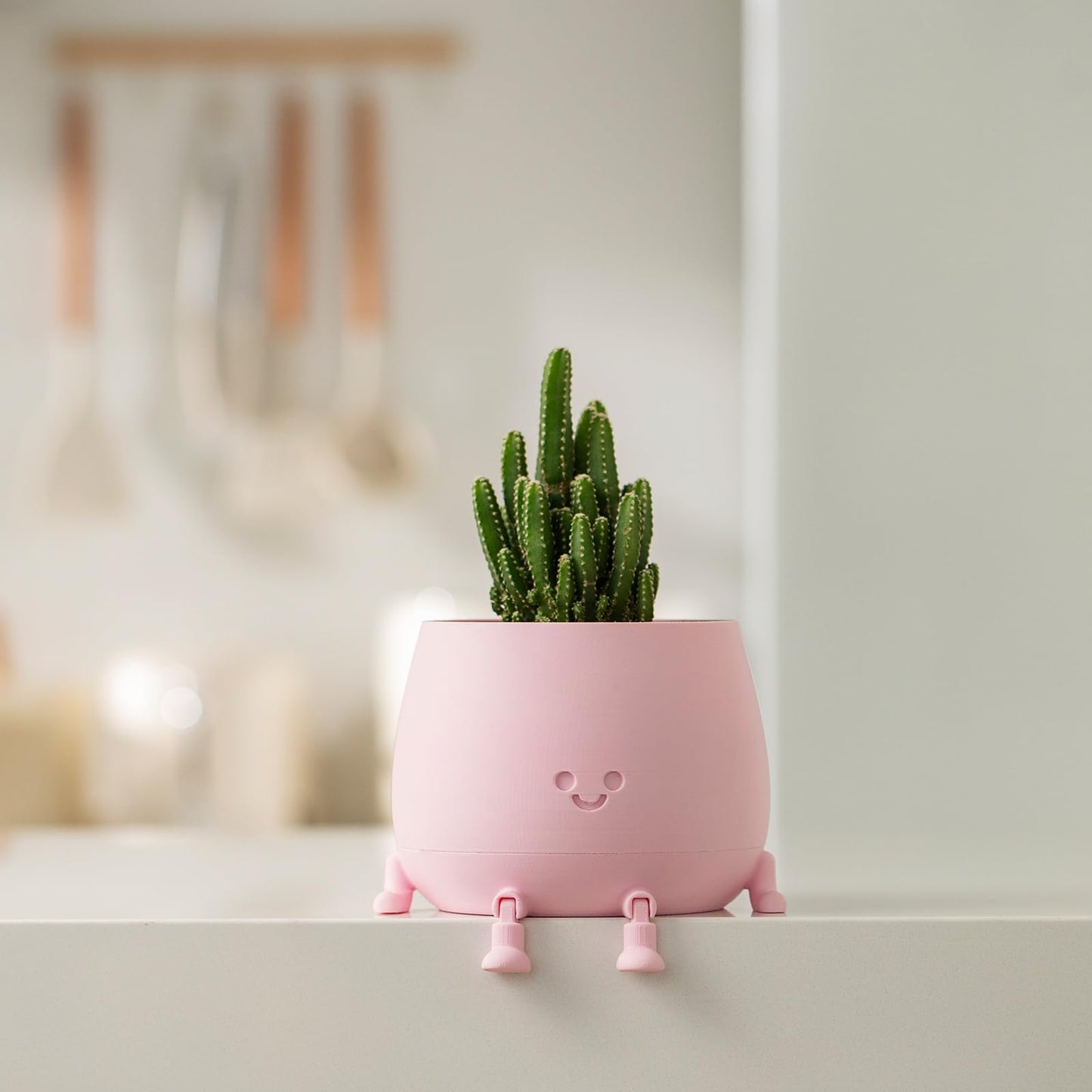 TOPOLA Happy Face Planter, 5.2 Inches Plastic Plant Pot, Self Watering Plant Pot with Drainage Holes for Indoor Outdoor, Succulent Pot, Funny Flower Pot, Sakura