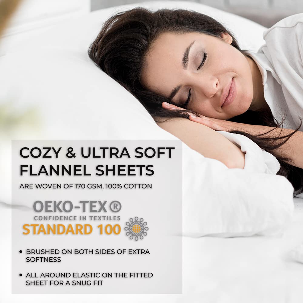 Tribeca Living Ultra Soft Turkish Cotton Flannel Queen Sheet Set with Extra Deep Pocket, 100% Cotton Flannel Sheets 4 Piece Set, Sofi Paisley 170-GSM