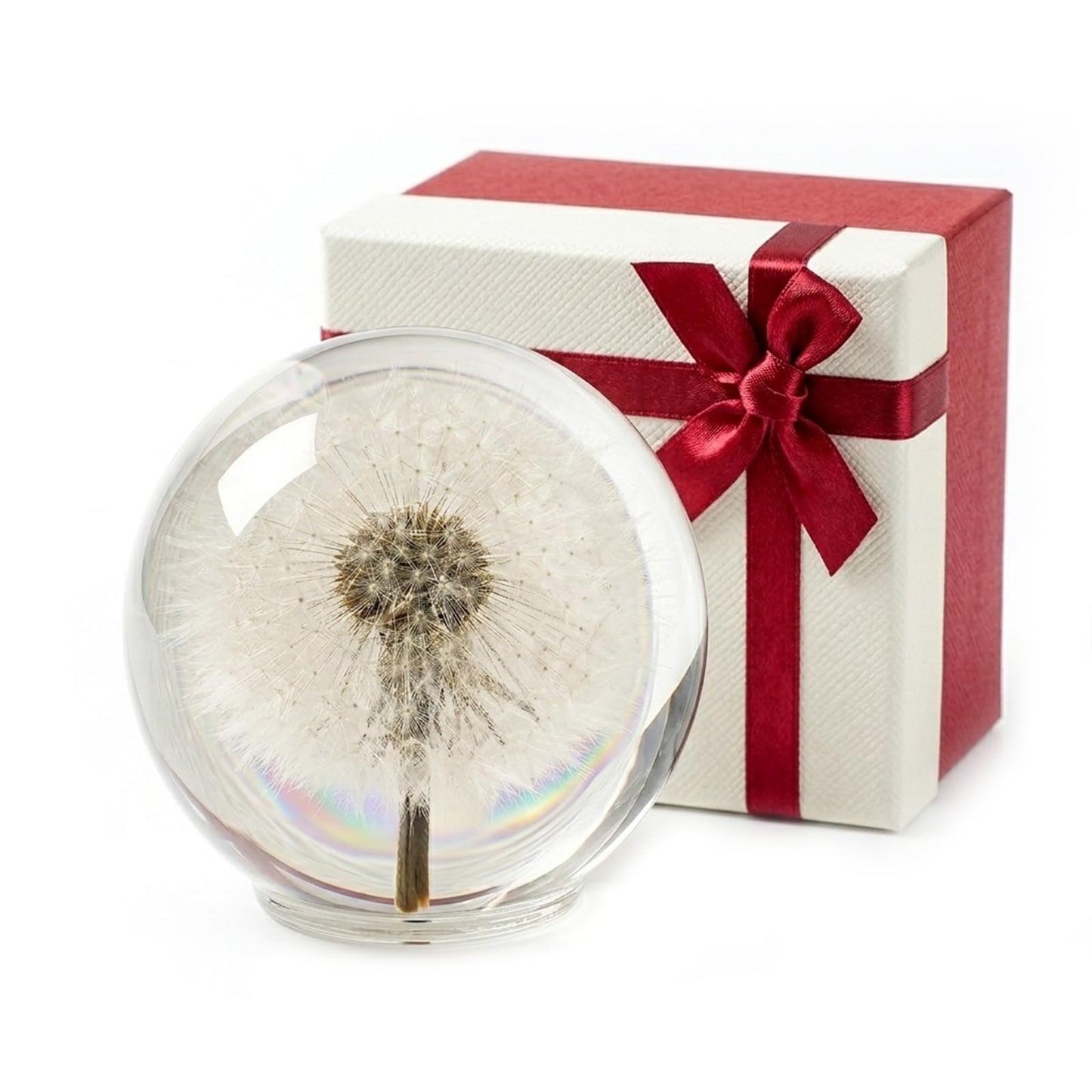 1st Heaven Dandelion Paperweight in Crystal – Real Preserved Dandelion, Symbol of Hope, Luck, or New Beginnings – Elegant Gift with Gift Box & Card (3.1 in)