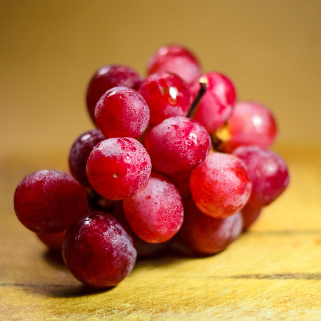 Red Seedless Grape Vines Trees Live Plants, Well-Rooted 1 to 2 Years Old Trim 5-9" in Tall, Grapes Plant Live for Outdoor Planting, Zones 3-9