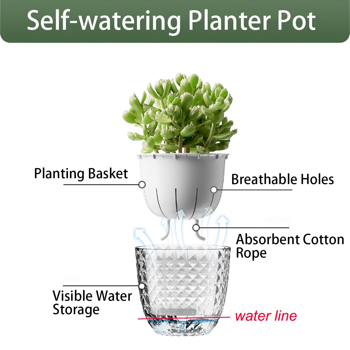 XKYQSY 2 Pack 6 inch Self Watering Pots Planters for Indoor Plants, African Violets Pots with Wick Rope, Modern Plastic Nursery Pots for All House Plants,Flowers Succulents,Herbs,Cactus,Orchids
