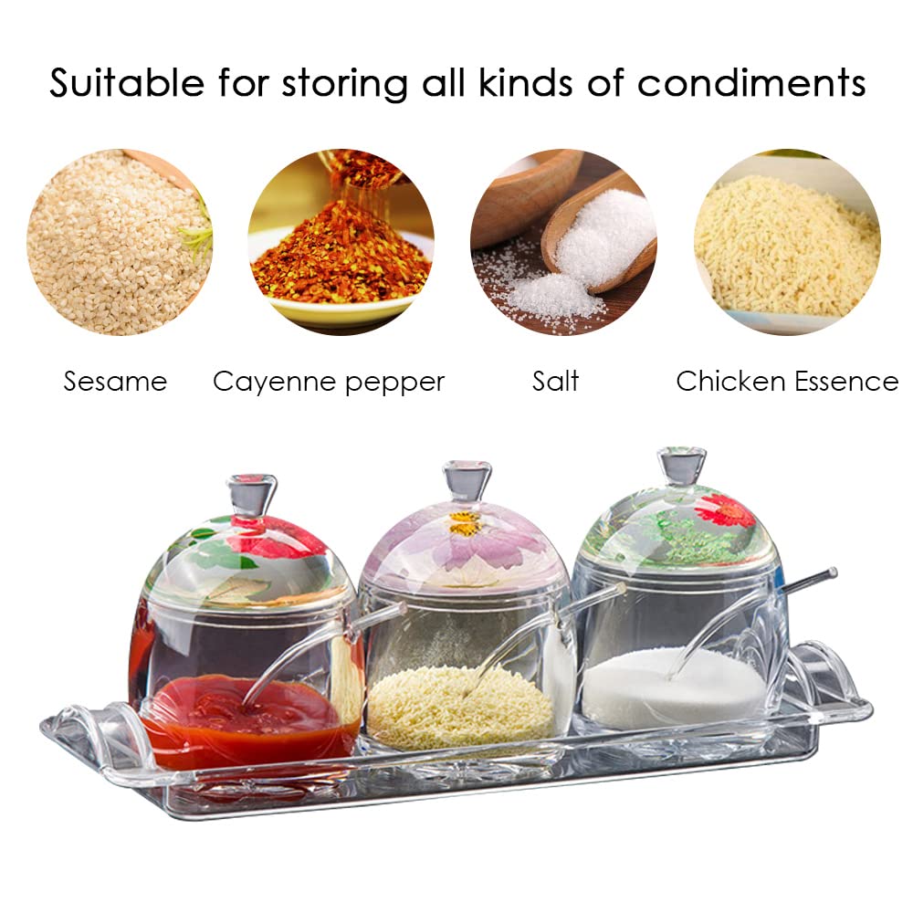 TINMIX Clear Seasoning Box - 3PCS Acrylic Condiment Pots for Salt Sugar Herbs, Spice Jar Containers with Base, Dried Flower Handle Lids and Spoons