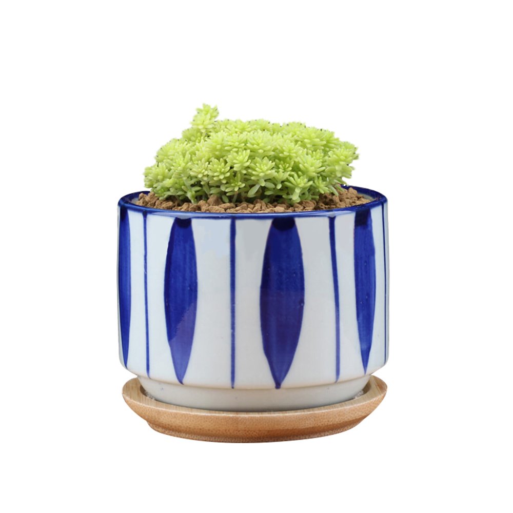 GeLive 3 Inch Ceramic Succulent Planter, Cactus Plant Pot, Flower Container with Bamboo Drip Tray, Indoor Outdoor, Set of 2 (Wave and Blue Flower)