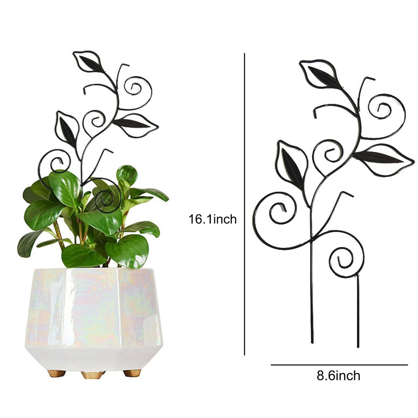 Decorative Metal Plant Trellis for Indoor Potted Plants – Leaf Shape Vine Support Stakes with 6 Plant Clips, Black/Green/Gold Garden Trellises for Climbing Plants, Vines (Black 1pc)