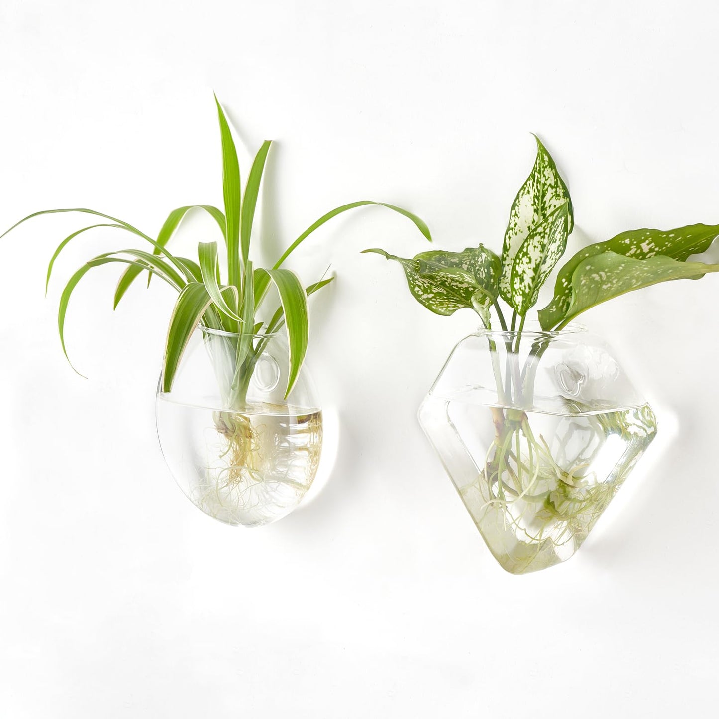Mkono Wall Planter Propagation Stations Hanging Glass Terrariums Vase Container for Propagating Hydroponic Plants Flowers Home Office Living Room Bathroom Garden Decor, 3 Pack(Plants not Included)