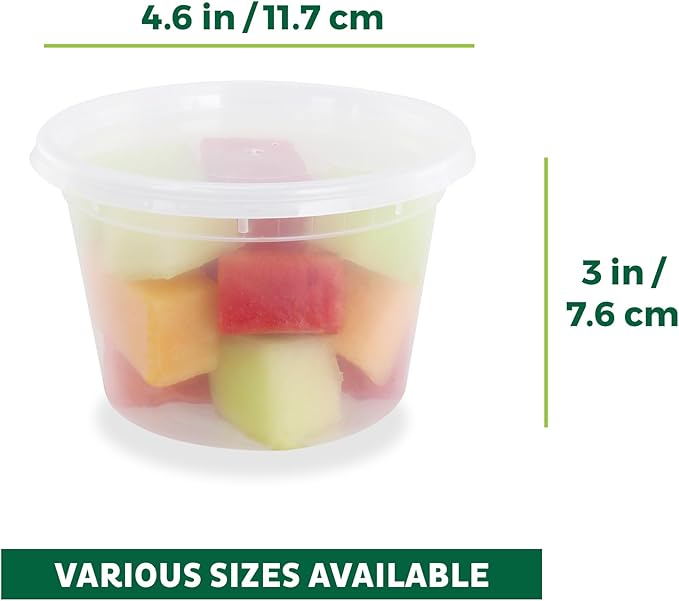 Freshware Food Storage Containers 16 oz Plastic Deli Containers