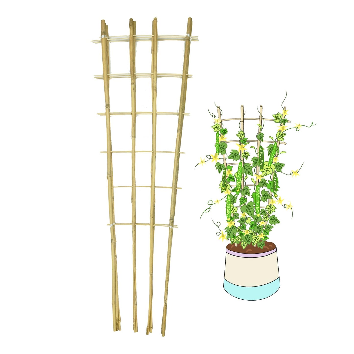 Natural Bamboo Trellis, 4.8Feet,3Pack,Fan-Shaped Plant Support Trellis for Outdoor and Indoor Potted Climbing Plants,Vegetables, Cucumber, Tomato, Hoya,