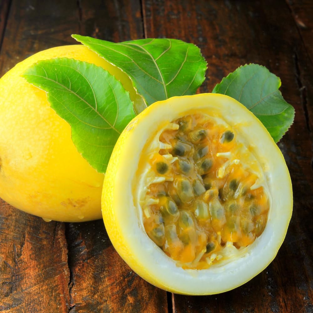 Set 2 Yellow Passion Fruit Plants Live, Passionfruit Live Plant, 4'' Tall