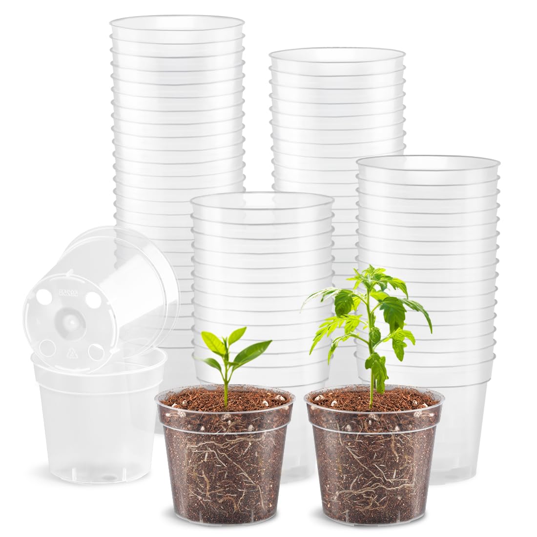 RooTrimmer 2.5" Clear Seeding Pots 100-Pack Round for Seeds Starter Pots, Seeds Germination Transparent Nursery Pot with Drainage Holes (2.5Inch,100Pcs,Clear)