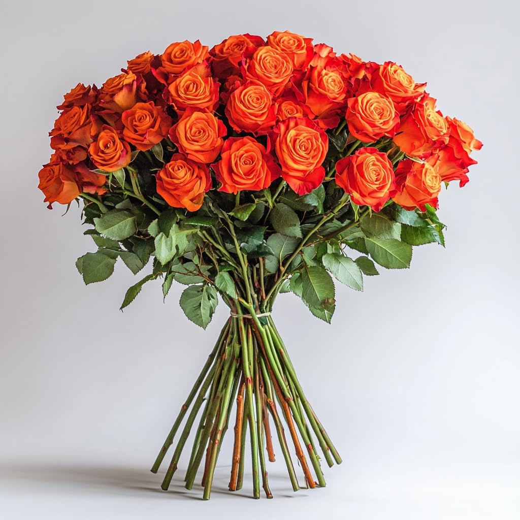 GlobalRose 75 Orange Roses Bouquet - Responsibly Sourced Roses Fresh Flowers - Hand-Picked Flowers Fresh Bouquet for Graduation, Anniversary, Birthday & Special Occasions (3 Bunches of 25 Stems)