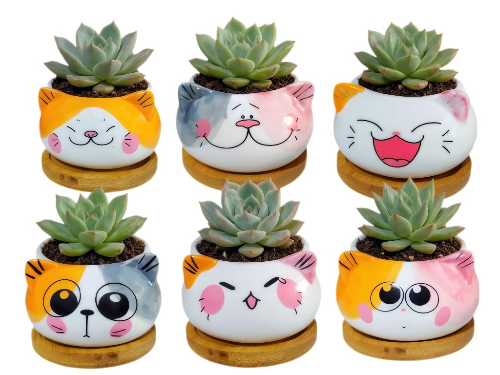 Cuteforyou Cute 3.5 Inches Indoor Cartoon Animal Cat Shaped Ceramic Succulent Cactus Flower Plant Pots with Bamboo Tray-Plant Not Included (6 Corlors)