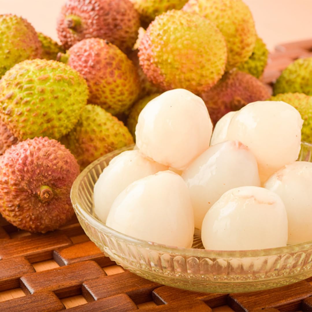 Lychee Fruit Tree Plant, 4 Inc Potted, Lychee Plant Live Sweet Fruit Plant