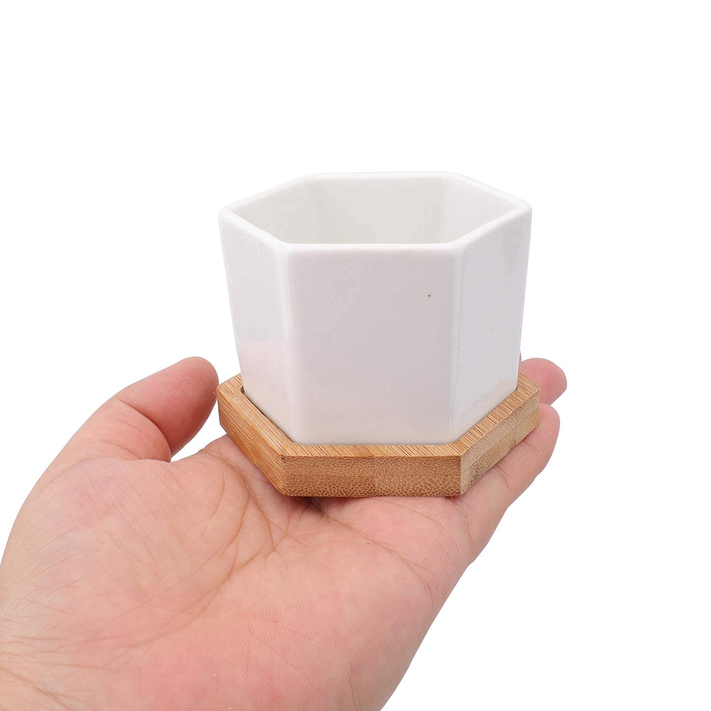 Foraineam 10 Pack Mini Succulent Plant Pots, 2.76 inch Hexagonal White Ceramic Succulent Cactus Planters with Bamboo Tray