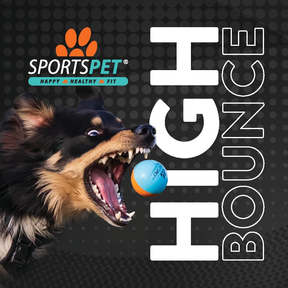 SPORTSPET High Bounce Dog Balls Smoothie Edition, Rubber Dog Balls, Floating Fetch Toy for Dogs, Strong and Durable Chew & Play, Safe Toy Balls for Dogs & Puppies, Pack of 3 (60mm)