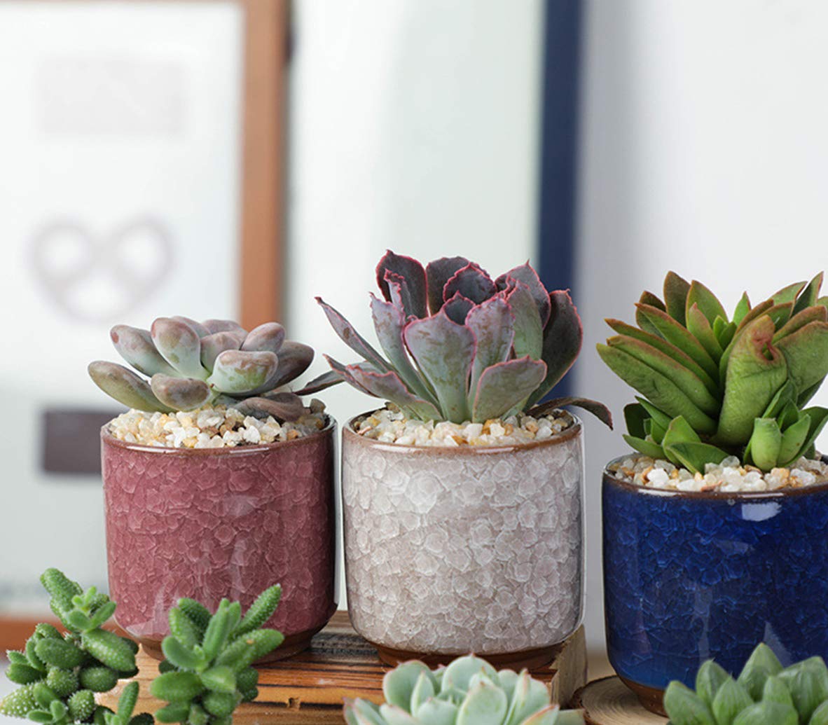 Lawei 8 Pack 2.5 Inch Mini Succulent Plant Pot with Drainage and Bamboo Tray, Small Ceramic Cactus Plant Pot, Flower Pots Faux Plants Containers for Home Garden Office Decoration(Plants NOT Included)