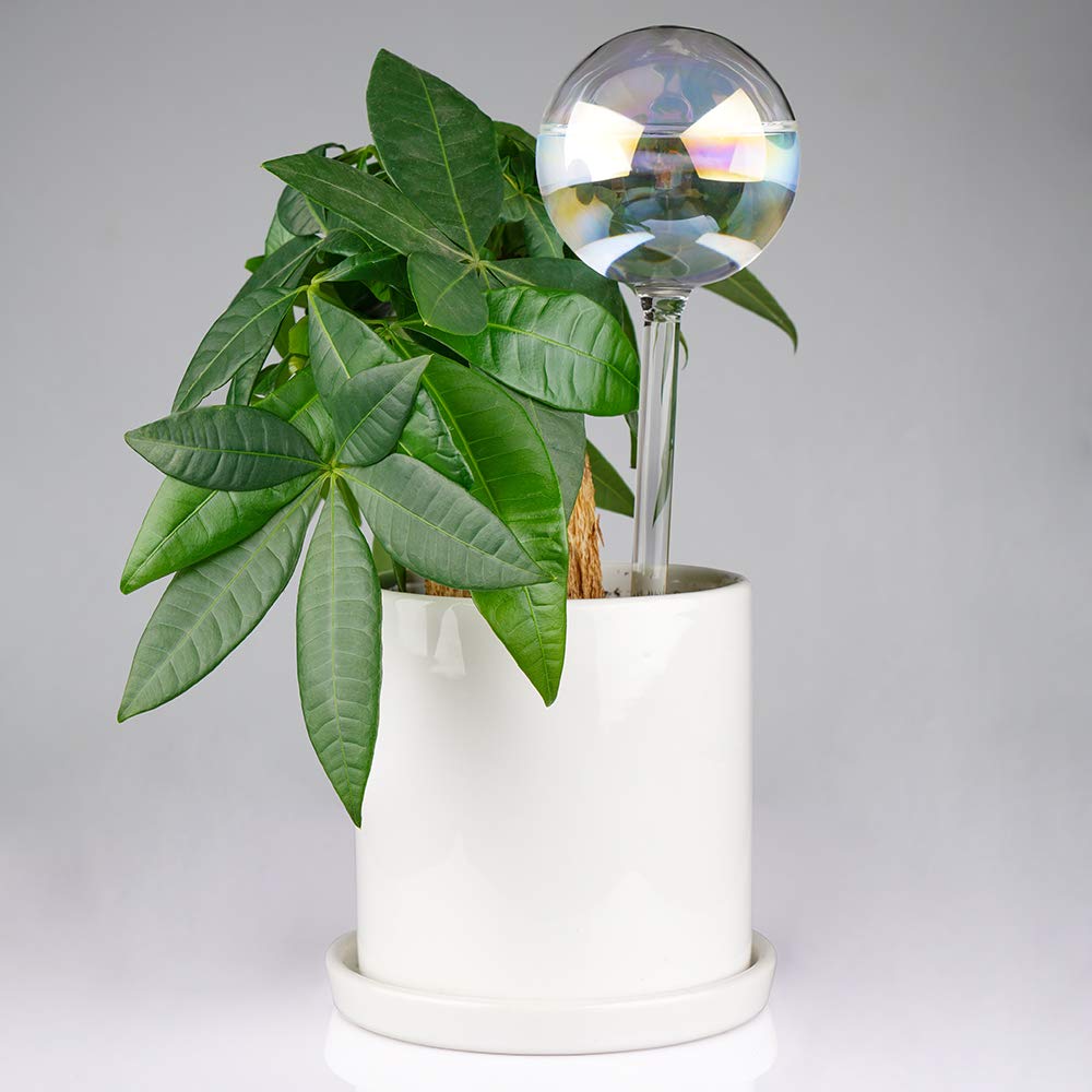 [2 PCS] Light Iridescent Rainbow Gradient Color Clear Glass Self-Watering System Spikes, Self Watering Globes, Self Watering Bulbs, Automatic Plant Waterer Bulbs
