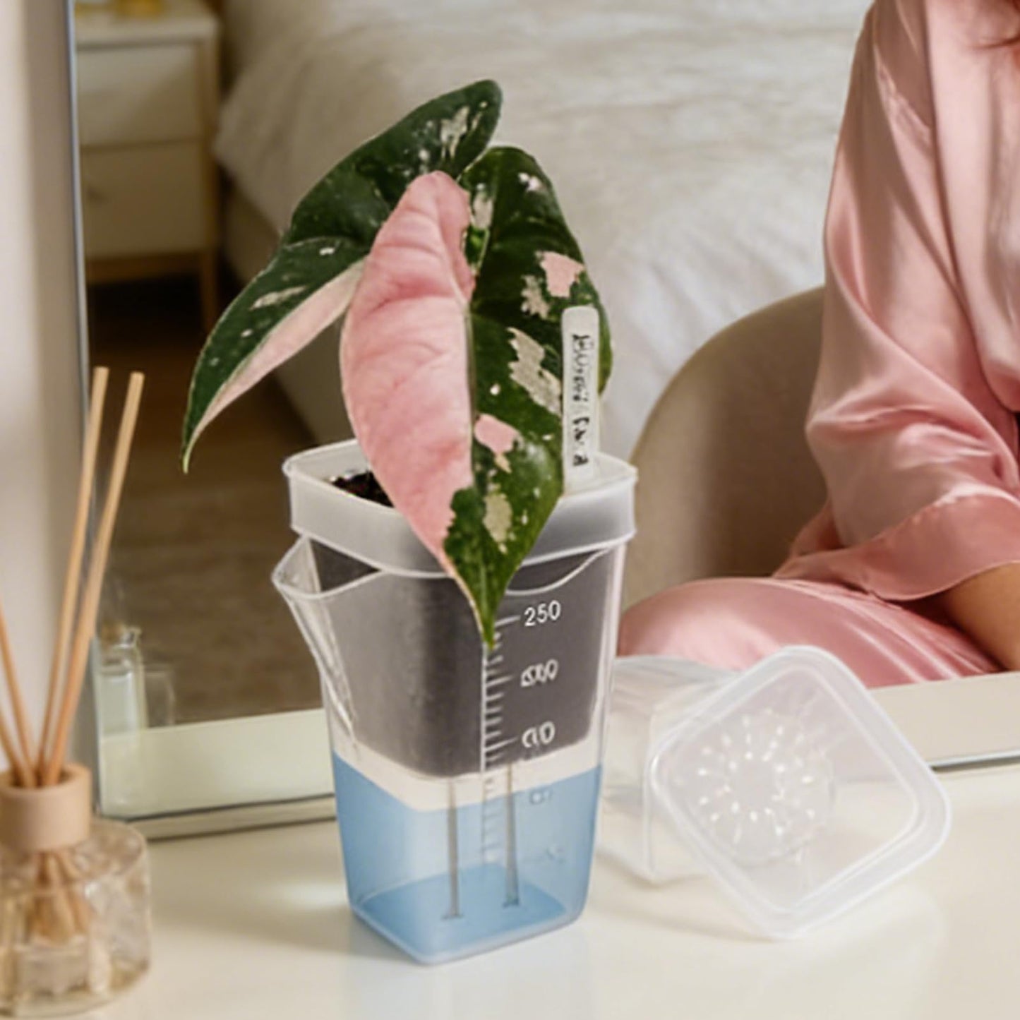 Flower Pots for Plants,Self-Watering Transparent Plant Planter | Mini Clear Flower Containers,for Semi-Hydro Propagation Cuttings Seedlings African Violets Balcony Bedroom Living Room