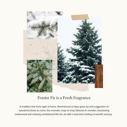 Thymes Frasier Fir Votive Candle Set of 3 - Scented Candles for Home - Luxury Home Fragrance Gifts for Women & Men - Home Decor (Pack of 3-2 Oz)