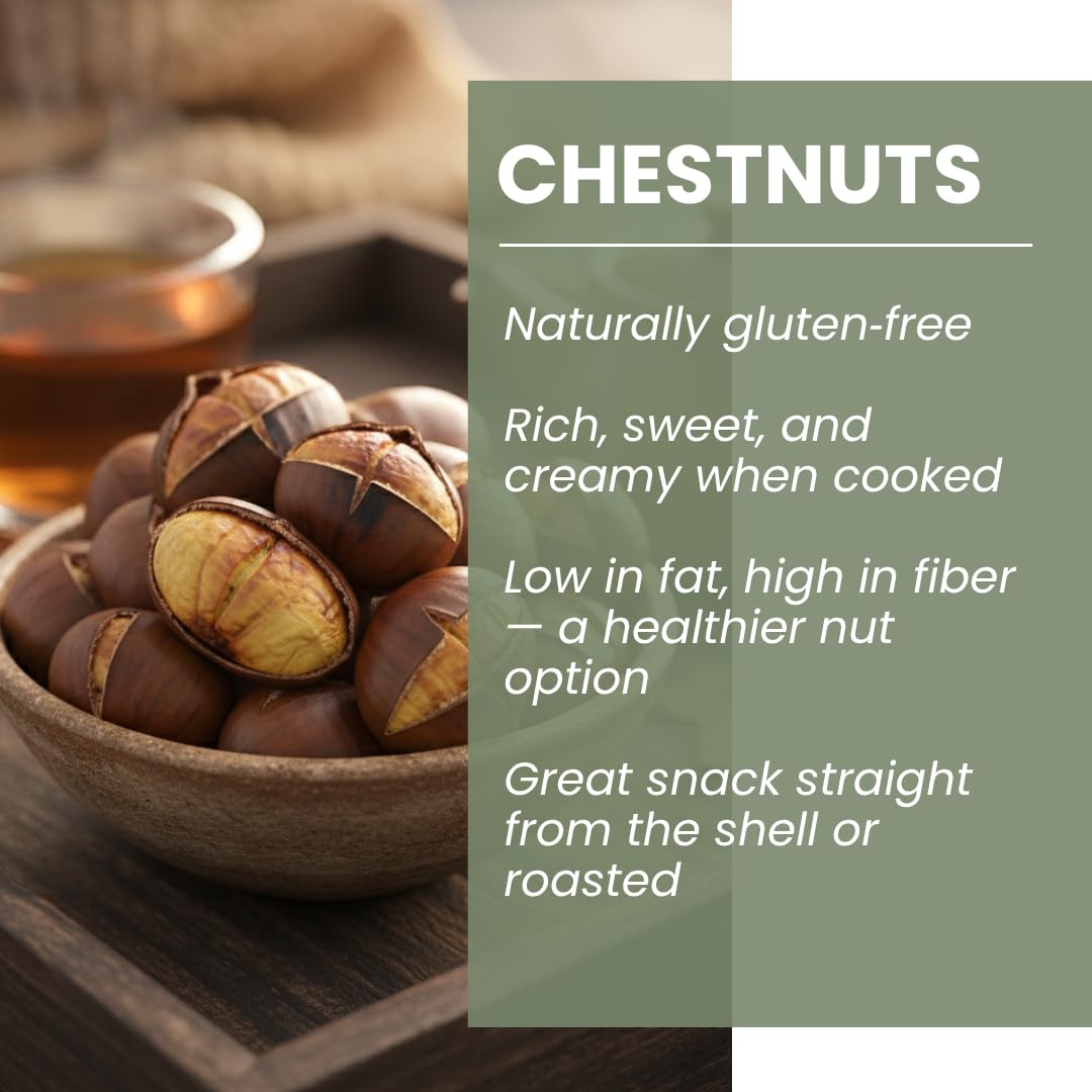 Chestnut Trees Live Plants (3 Pack) – Hardy Nut-Bearing Trees for Home Orchards & Landscaping – Fast-Growing Chestnut Saplings - Backyard Food Production