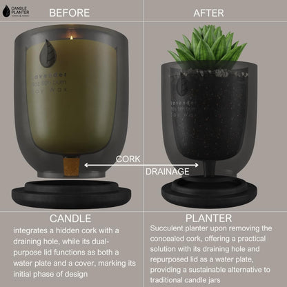 Matani Concrete Cement Candle Planter - Aromatherapy Soy, Dual Purpose Jar - Grey Lavender