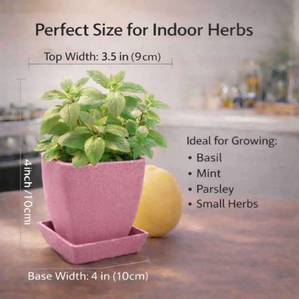 3.5 Inch Small Planter Pots with Drainage Holes and Saucers, Matte Square Indoor Plant Pots for Succulents and Herbs, Lightweight Modern Planters for Kitchen Herb Garden, Windowsill or Desk 5 Pack