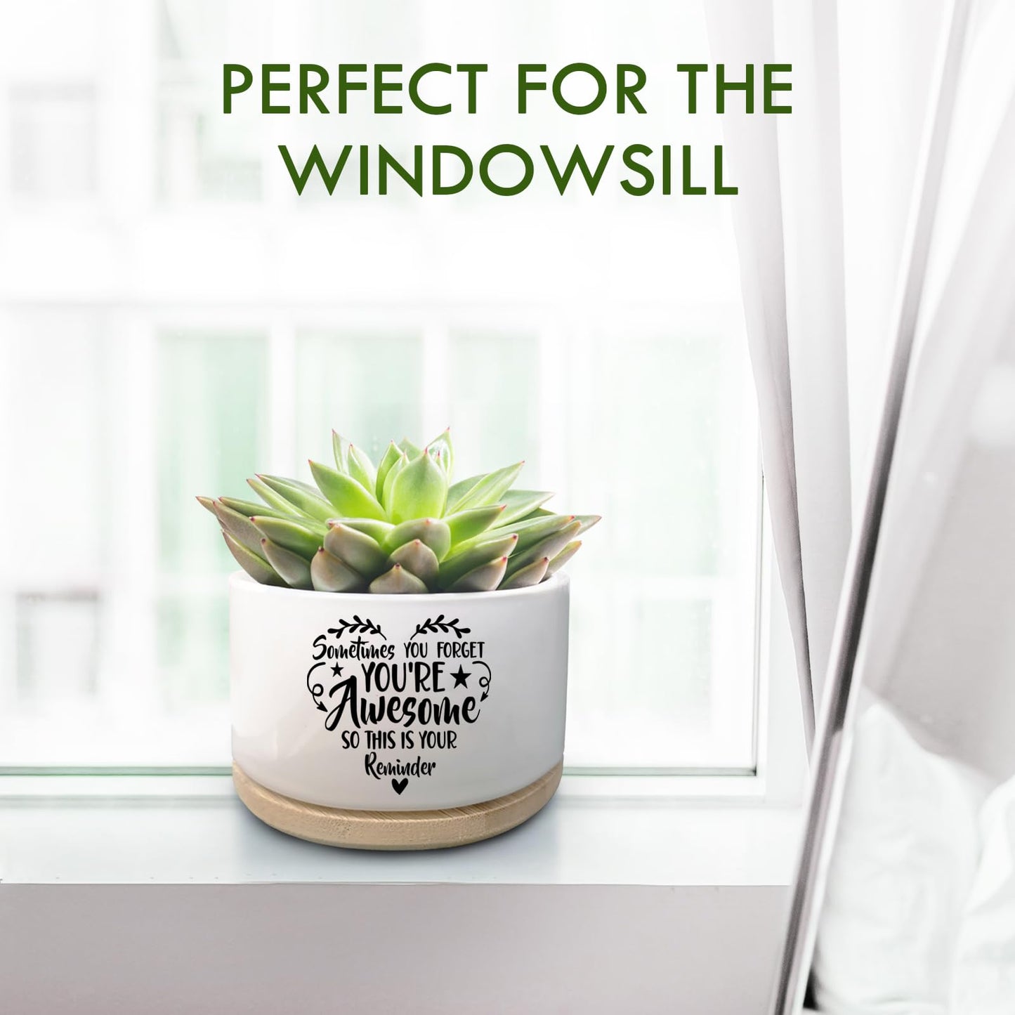 Jutasty Thank You Gifts for Women, Funny Succulent Plant Pot, Cactus Flower Planter Gifts, Appreciation Inspirational Farewell Going Away Gifts for Women Men Boss Lady Manager Coworkers (No Plants)