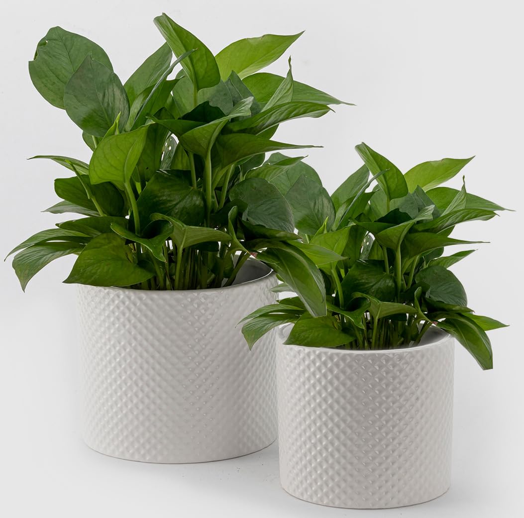 ROMANDECO CRAFT Indoor Plant Pot Flower Holder Ceramic Houseplant Pots inch with Hole 5.9in + 4.7in 2pcs, White (Not Contain Plant)
