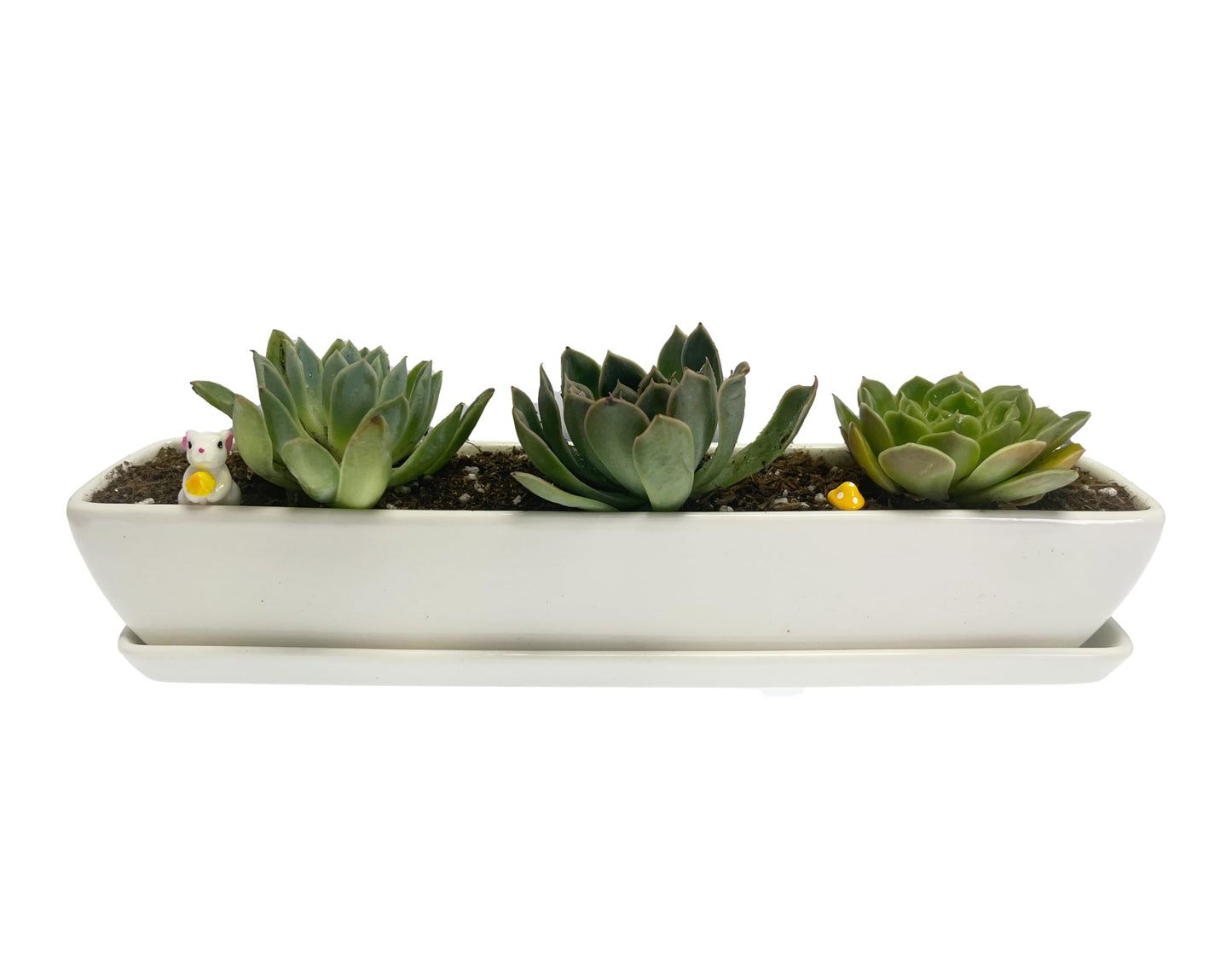 Kipokalor Long Rectangular Modern Succulent Planter Pot, 2 Set of 11.1x2.36x1.77inch Minimalist White Ceramic Succulent Planter Pot with Ceramic Saucer for Office,Desk,Window.